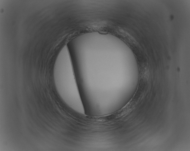 X0000071820599200606301012