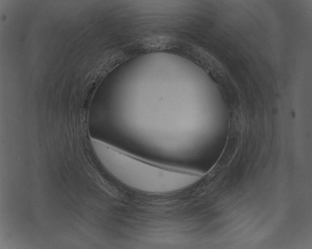 X0000071820601200606301012