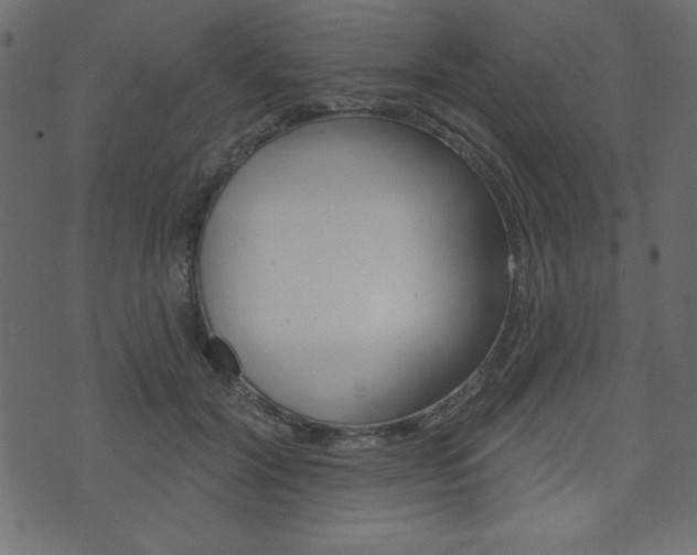 X0000071820604200606301012