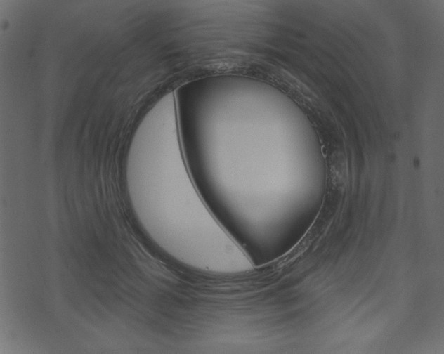 X0000071820605200606301012