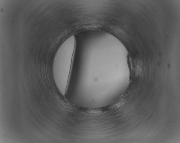 X0000071820619200606301012