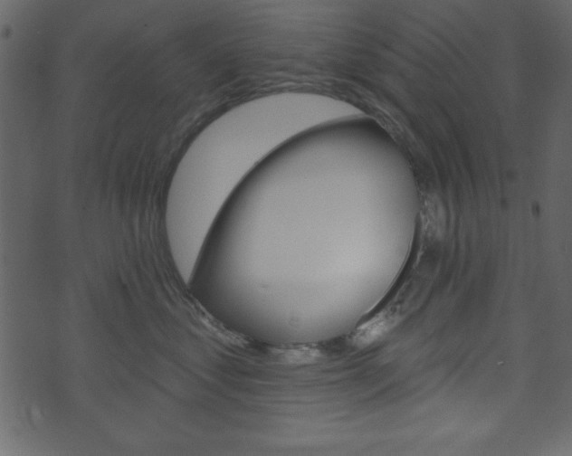 X0000071820621200606301012