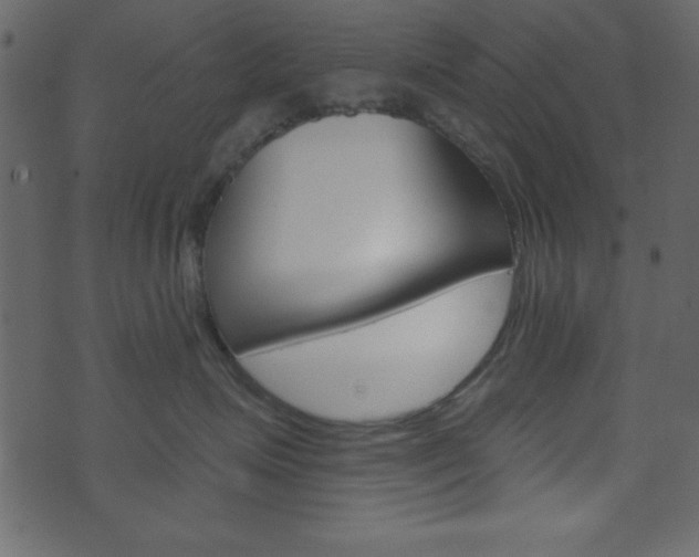 X0000071820623200606301012