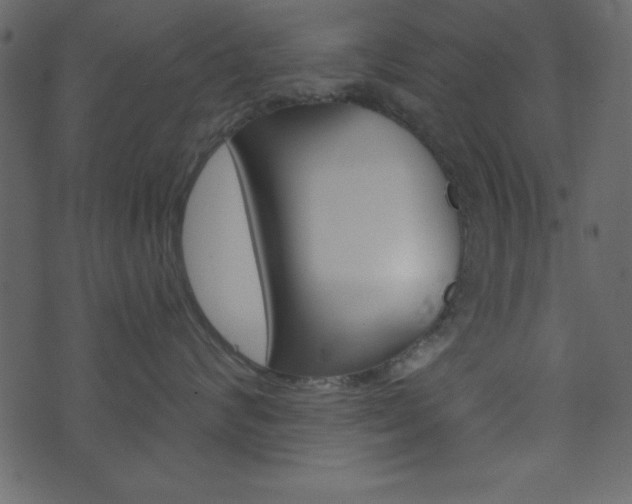 X0000071820624200606301012