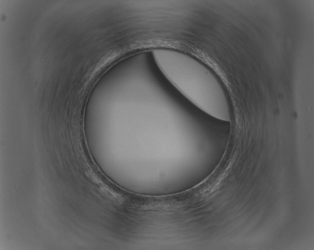 X0000071820625200606301011