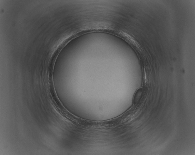 X0000071820627200606301011