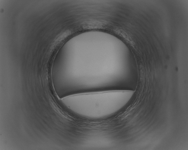 X0000071820631200606301011