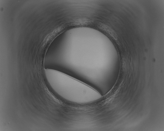 X0000071820633200606301011