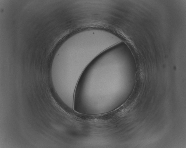 X0000071820637200606301011