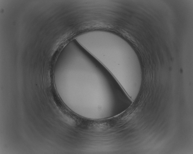 X0000071820638200606301011
