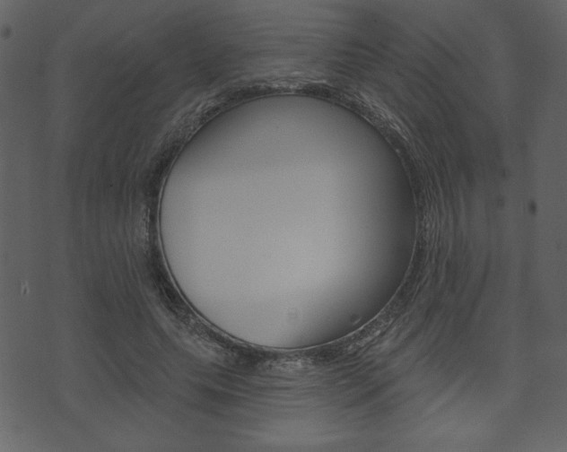 X0000071820639200606301011