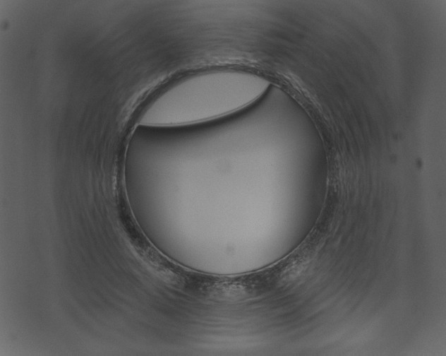 X0000071820640200606301011