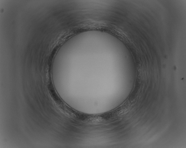 X0000071820642200606301011