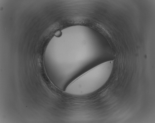 X0000071820643200606301011