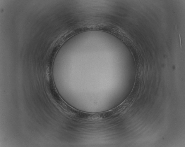 X0000071820644200606301011