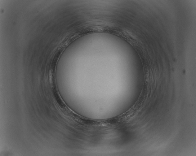 X0000071820646200606301011