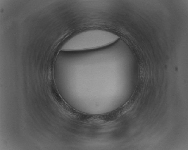 X0000071820648200606301011