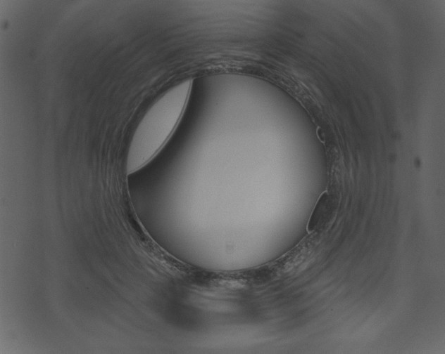 X0000071820649200606301011