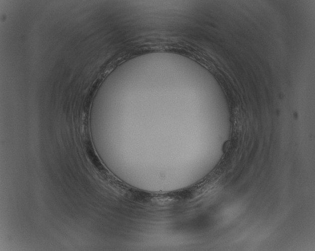 X0000071820650200606301012