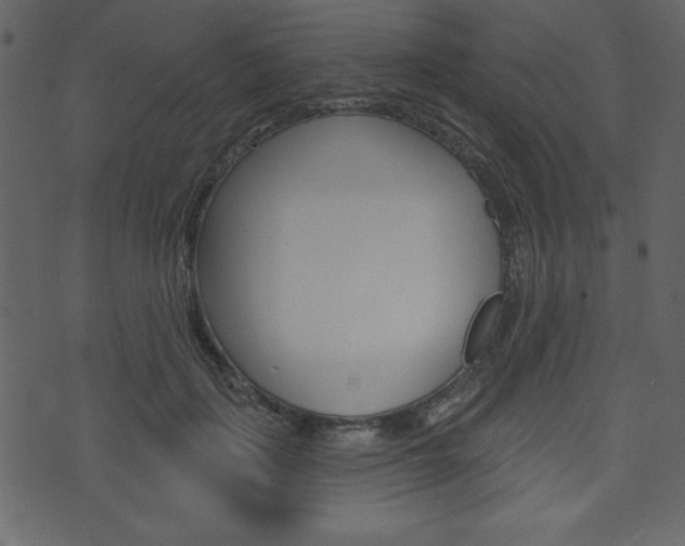 X0000071820651200606301012