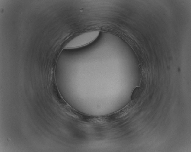 X0000071820652200606301012