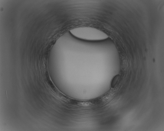 X0000071820654200606301012
