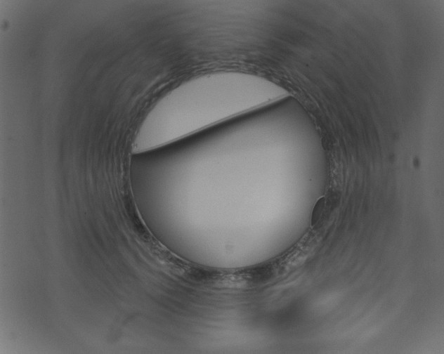 X0000071820656200606301012