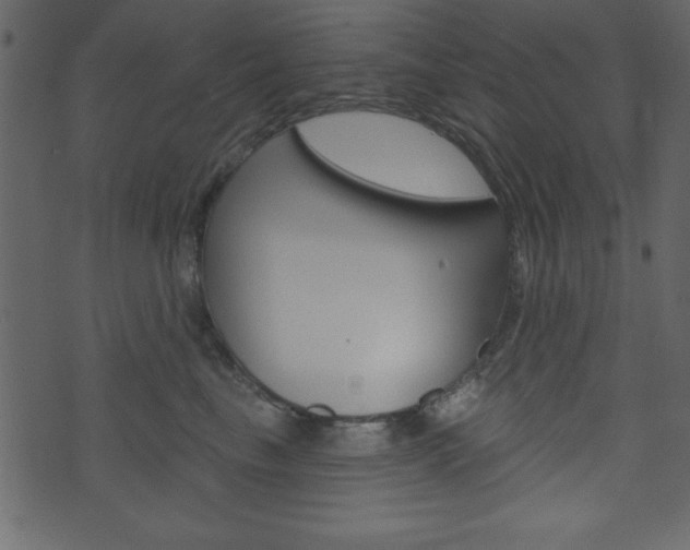 X0000071820665200606301012