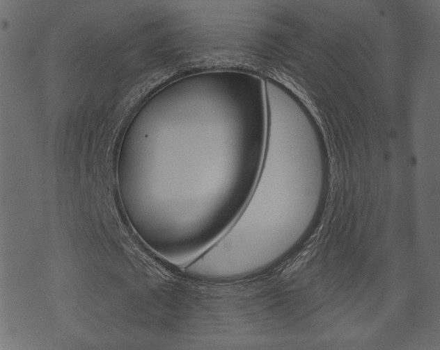 X0000071820673200606301011