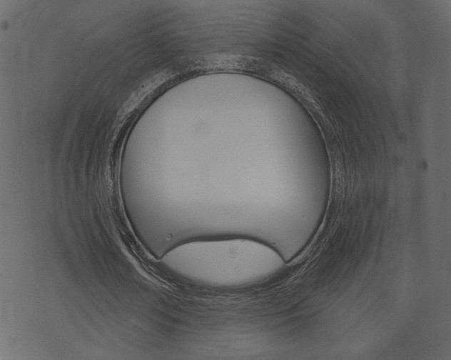 X0000071820674200606301011