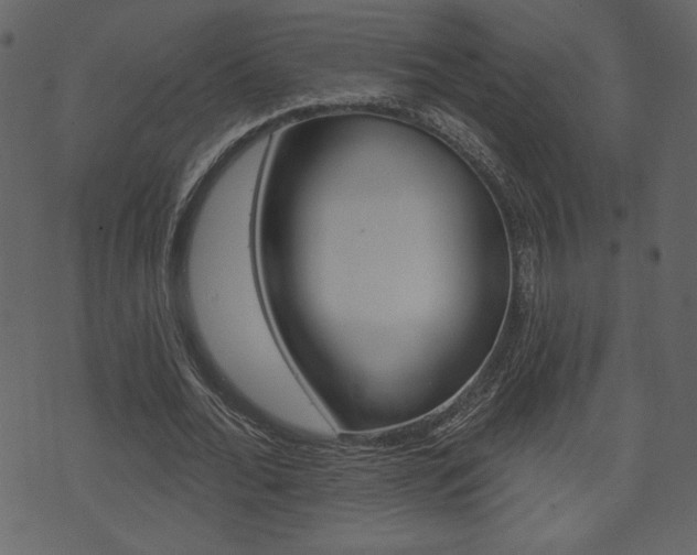 X0000071820676200606301011