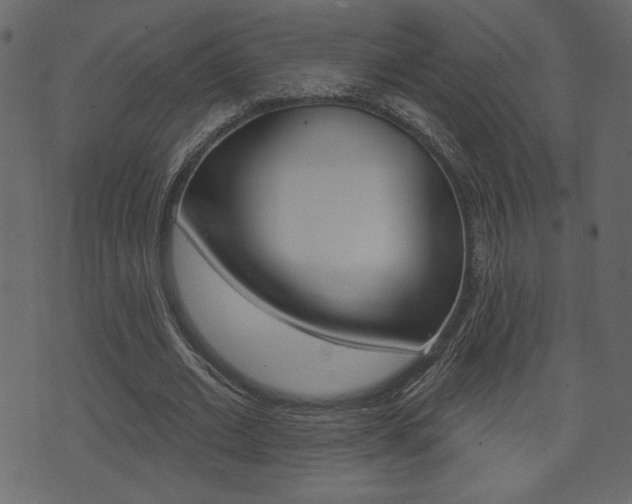 X0000071820677200606301011