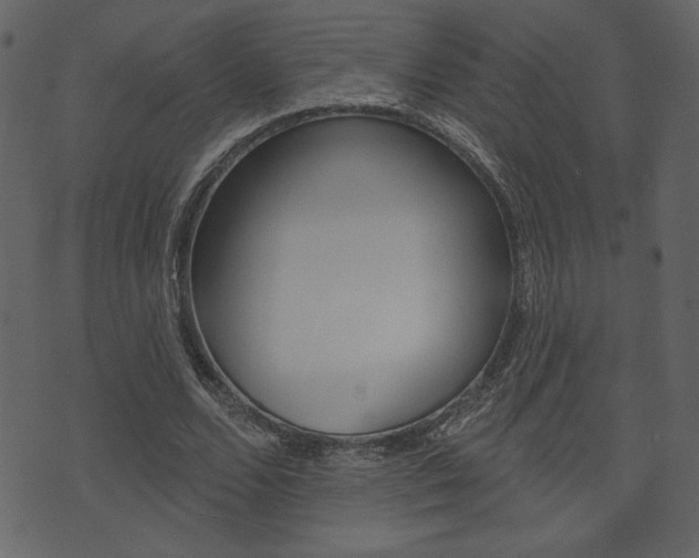 X0000071820680200606301011