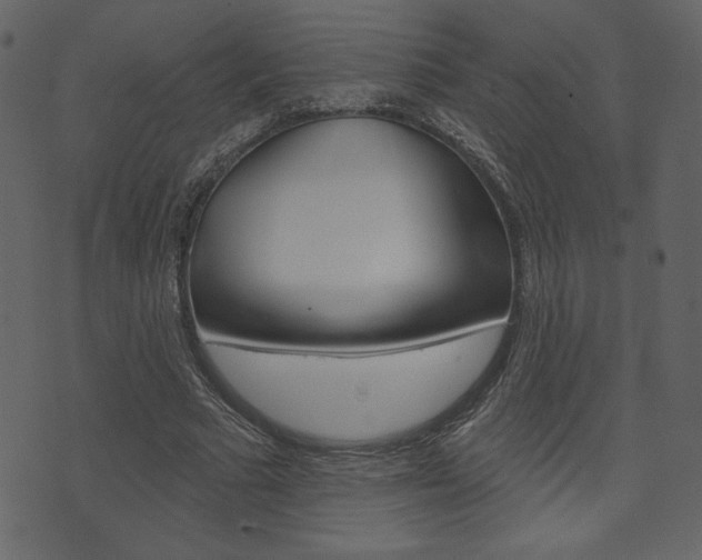 X0000071820681200606301011