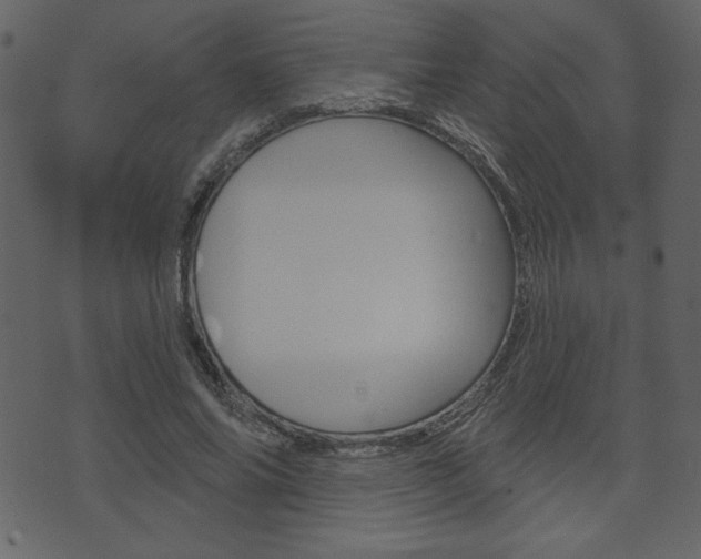 X0000071820686200606301011