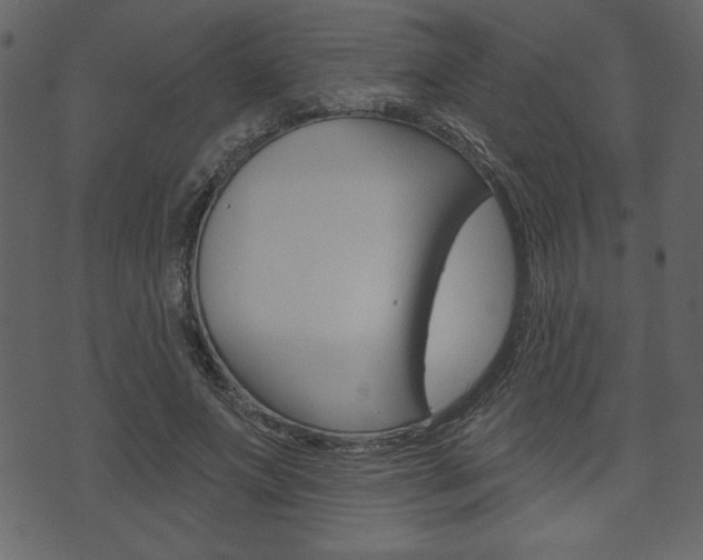 X0000071820687200606301011