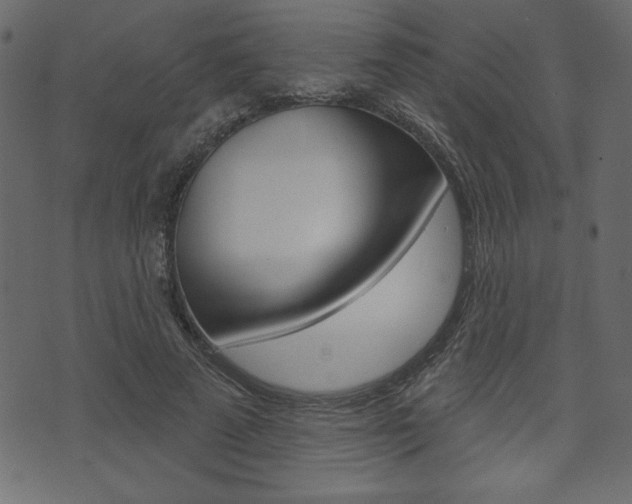 X0000071820689200606301011