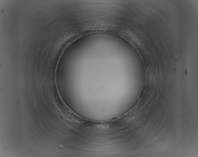 X0000071820692200606301011