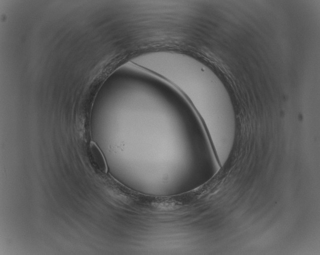 X0000071820693200606301011