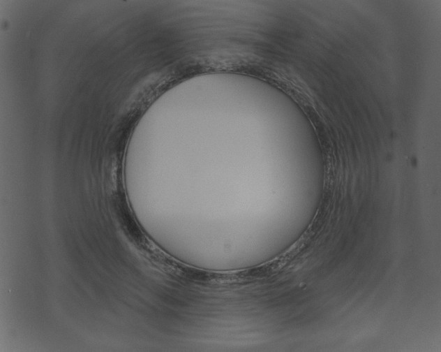 X0000071820694200606301011