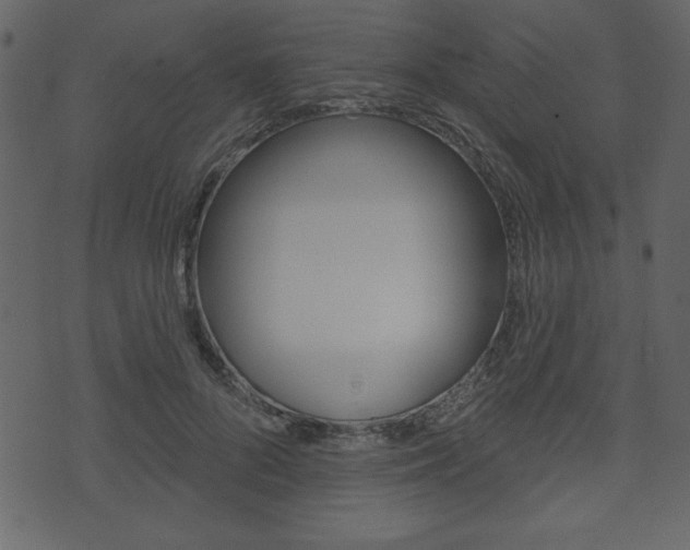 X0000071820696200606301011