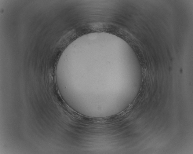 X0000071820702200606301011