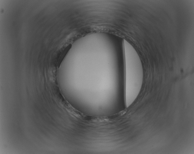 X0000071820712200606301010
