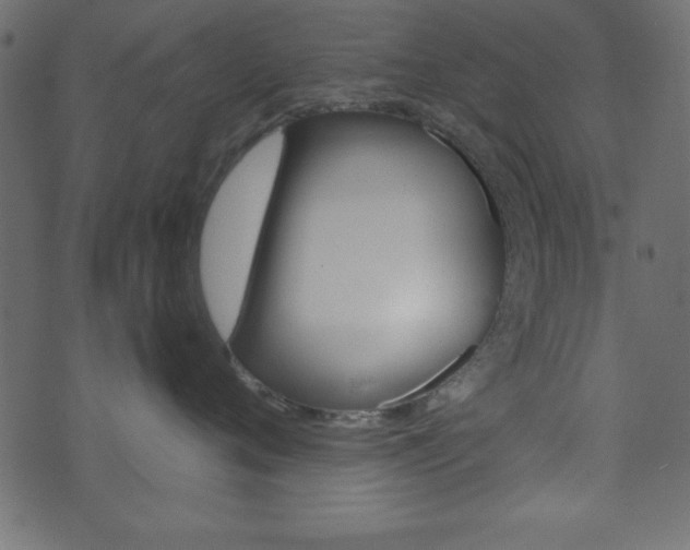 X0000071820720200606301010