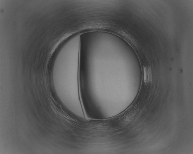 X0000071820723200606301010