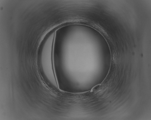 X0000071820724200606301010