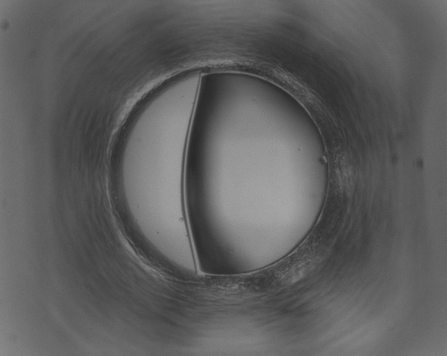 X0000071820728200606301010