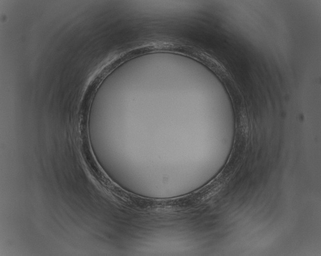 X0000071820730200606301010