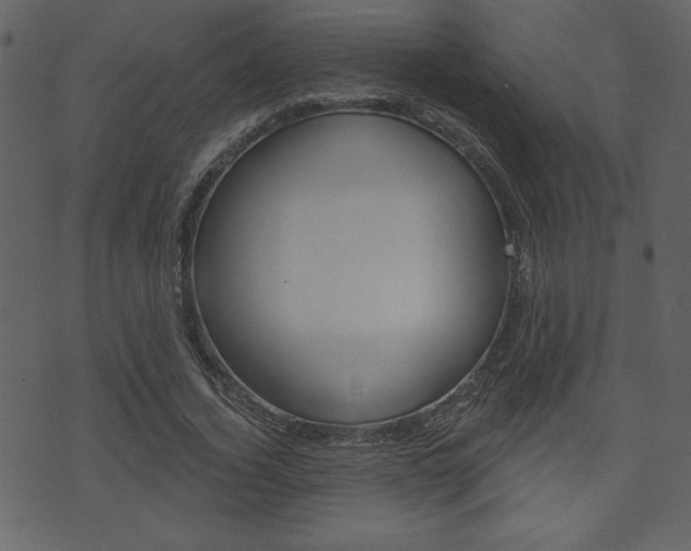 X0000071820732200606301010