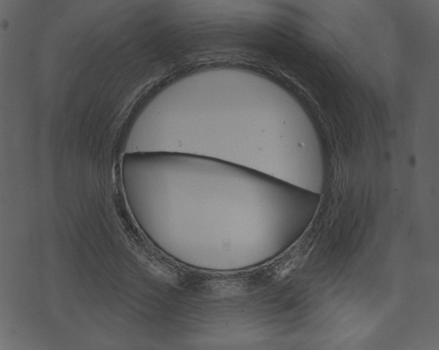 X0000071820733200606301010